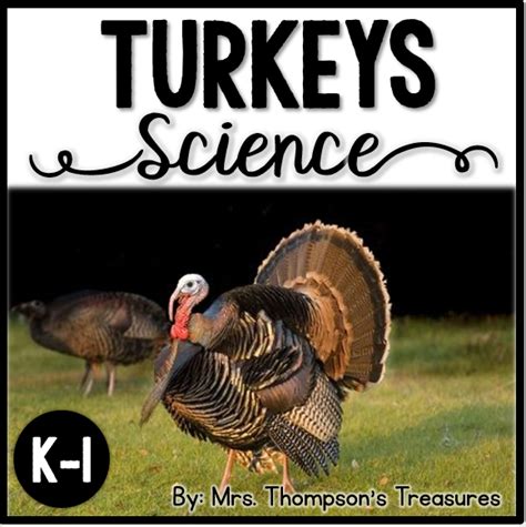 Turkey Scientist Template