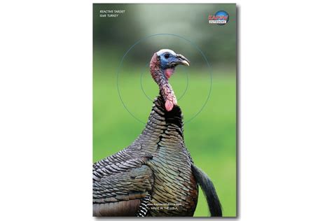 Turkey Target with Bullseye