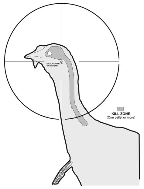 Turkey Target with Measurement Markings