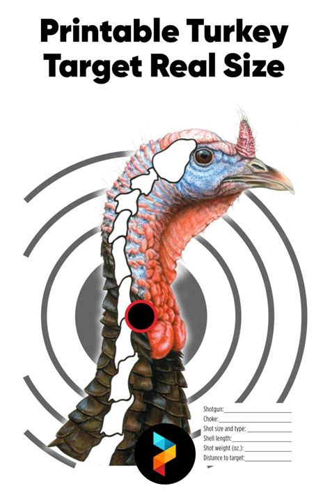 Turkey Targets Printable for Hunting Season