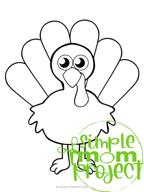 Turkey Template for Kids Education