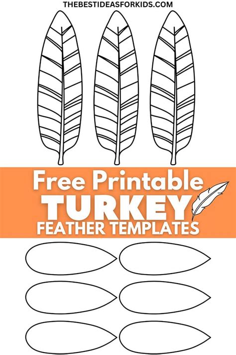 Turkey Template with Feathers for Kids