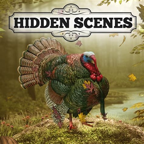 Turkey Trot Hidden Picture