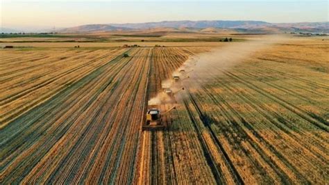 Turkish Agriculture