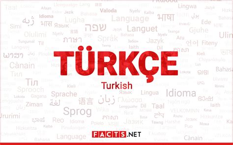 Turkish language course