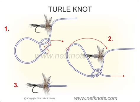 Turle Knot Diagram