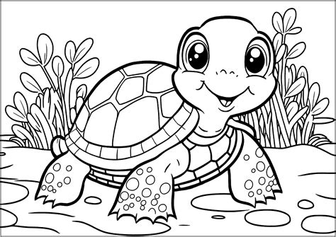 Turtle Coloring Pages for Kids Free