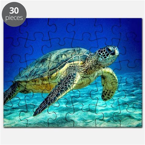 Turtle Puzzle