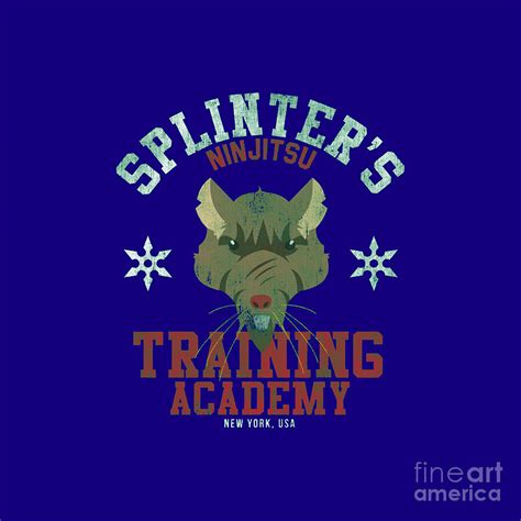 Turtle Training Academy