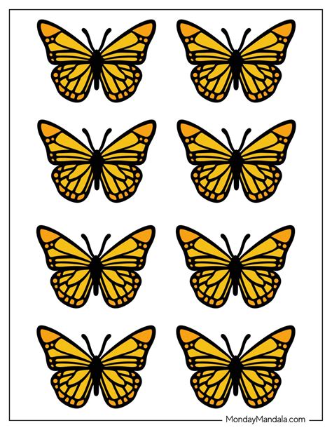 Twice Butterfly template