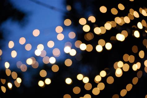 Twinkling lights on an outdoor Christmas tree