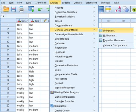 Two-Factor ANOVA in SPSS