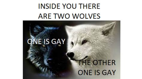 Two Wolves Meme Example 5