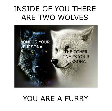 Two Wolves funny meme