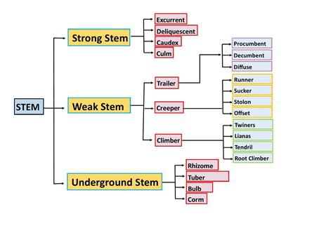 Types of STEM Field Careers