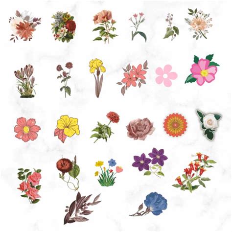 Types of aesthetic flower stickers