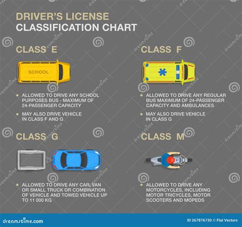 Types of Driver's License Templates