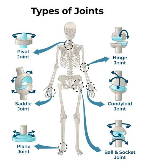 Types of Joint Concepts for Business Innovation