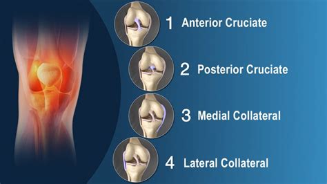 Types of Knee Tendon Injuries