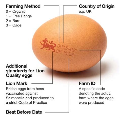 Food Lion Stamp Options