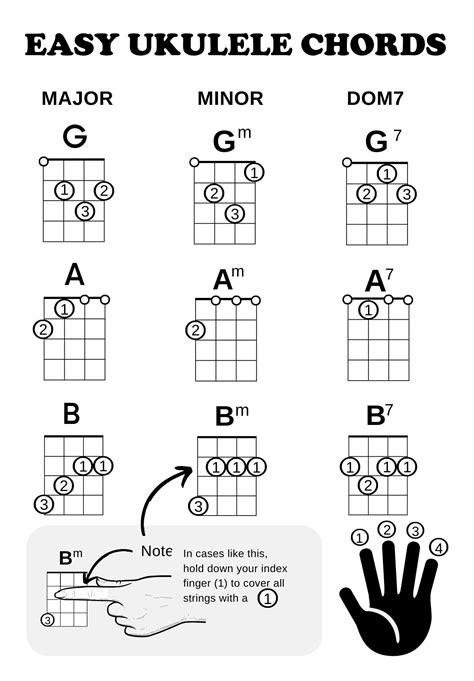 Ukulele Chords for Beginners