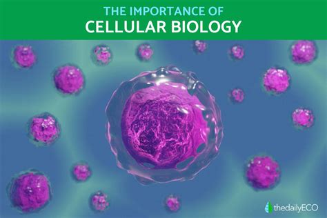 Understanding the Importance of Cell A1