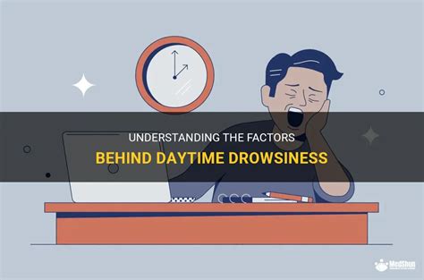 Understanding Drowsiness