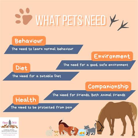 Understanding Your Pet's Needs