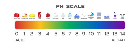 Understanding pH Balance