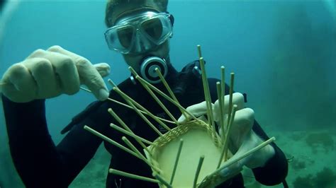 Underwater basket weaving in action