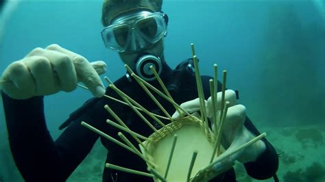 Underwater basket weaving classes