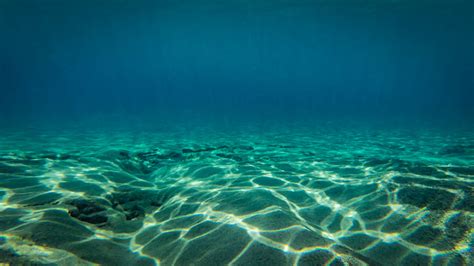 Underwater basket weaving materials