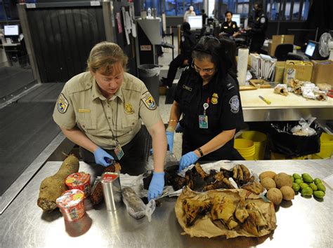 Undocumented immigrant food security