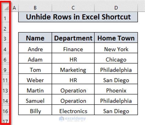 Unhide Rows Shortcuts