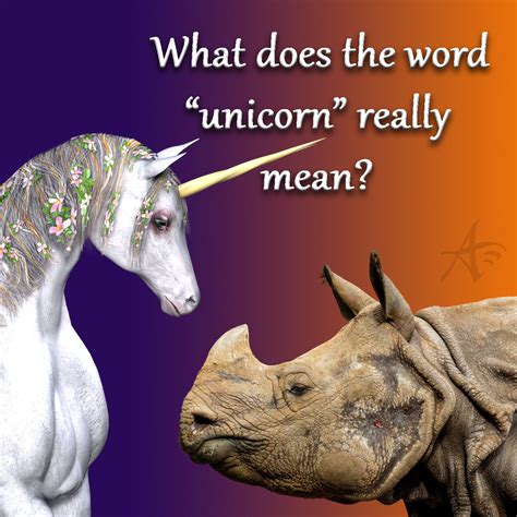 Unicorn meaning