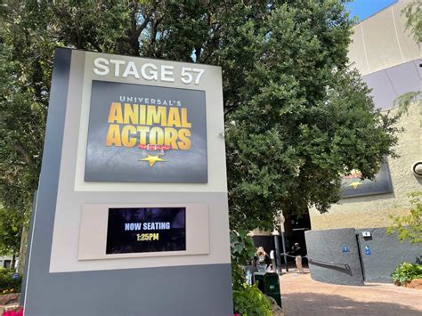 Universal Studios Hollywood Animal Actors Show