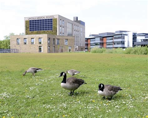 University of Lincoln My View Platform