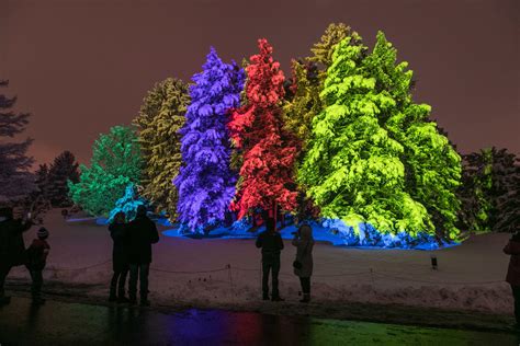 University of Wisconsin Arboretum Holiday Light Display in Madison, Wisconsin