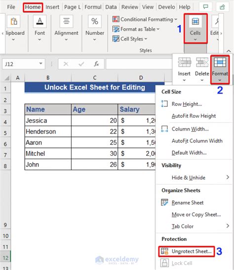 Unlocking Excel for editing