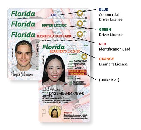 Update Florida Drivers License Address