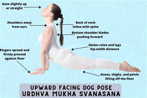 Upward-Facing Dog Pose