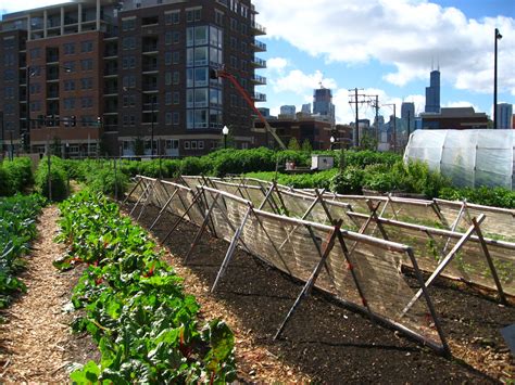 Urban Agriculture 10