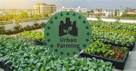 Urban agriculture