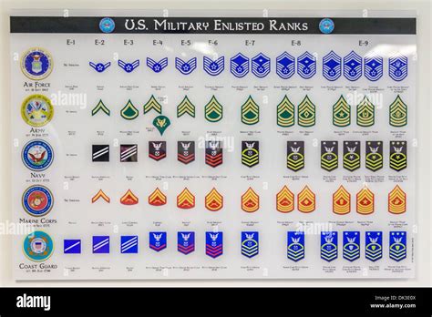 US Army Enlisted Rank Structure