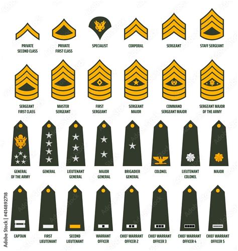 US Army ranks diagram