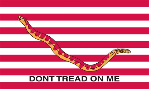 US Army Rattlesnake Flag