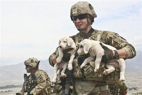 US Army soldier with pet