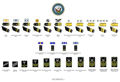 US Naval Officer Ranks Structure