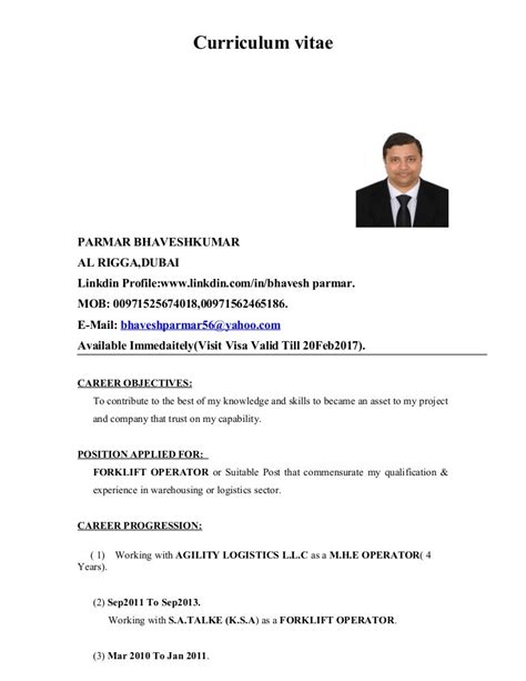 Us Visa Cv Template: Get Hired With A Perfect Resume