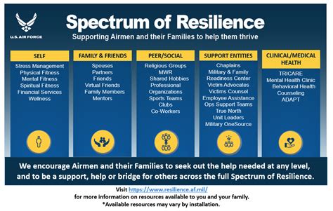 USAF Resilience